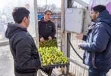 El municipio de Río Grande entrega plantines de verdura a productores