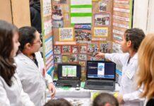 Los proyectos de la provincia que pasaron a la instacia nacional de la Feria de Ciencias