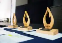 Conocé como participar en TDF Innova