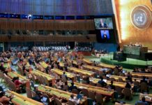 Docentes de la UNTDF afirman que Milei “socava el ambiente y el bienestar humano”