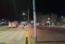 Se descompensó y chocó contra un árbol