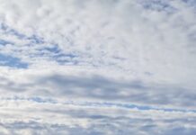 Personal policial rastrilla una zona donde fue vista Verónica Fabiana Jordan