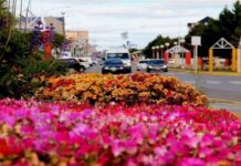 Cómo va a estar el clima este fin de semana
