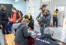 El municipio invierte en políticas de tenencia responsable de mascotas