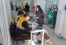 Nueva jornada de castración para perros en Río Grande