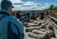 En Río Grande buscan crear el calendario de fiestas con fines turísticos