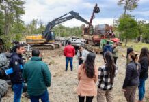 Finalizó la segunda campaña de recolección y compactación de chatarra