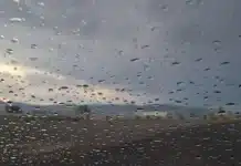 Cómo va a estar el clima este fin de semana