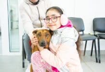 Río Grande lanza un portal web para la adopción de mascotas