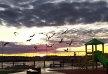 Cómo va a estar el clima este fin de semana