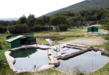 La empresa Roanmat tiene 48 hs para desalojar el predio de las termas del Río Valdez