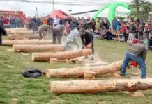 Empezó la 21° Fiesta de la Lenga en Tolhuin