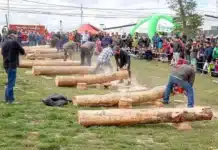 Cuál es la agenda de la Fiesta de la Lenga en Tolhuin