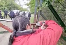 Los animales de las Termas de Tolhuin podrían tener leptospirosis