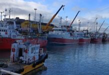 Nueva normativa para buques en puertos y terminales