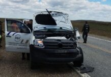 Un camión y una camioneta chocaron con un guanaco