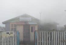 Un hombre y su perro se salvaron de un incendio