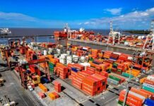 Las nuevas medidas de la ex AFIP para reducir tiempos y costos en importaciones