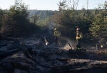 Brigadas continúan evitando que se propague el fuego en estancia San Justo