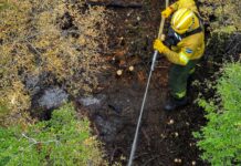 El incendio en estancia San Justo fue provocado por un rayo