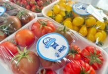 Este sábado venderán tomates de ‘RGA Alimentos’ en el Paseo del Viento