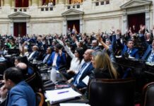 Cómo votaron los diputados fueguinos la suspensión de las PASO