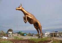 Quién es El Centinela, la nueva figura de Tolhuin