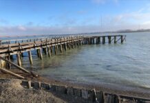 “Hay intereses políticos internacionales que no quieren que haya un puerto en Río Grande”