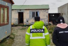 Encontraron 10 plantas de marihuana en un allanamiento