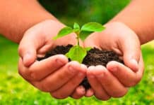 Continúa la carrera de agroecología en la UNTDF