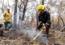 TIERRA DEL FUEGO ENVÍA BRIGADISTAS PARA COMBATIR INCENDIOS EN EL PARQUE NACIONAL NAHUEL HUAPI