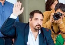 Pelloli propone sancionar a conductores que choquen y se den a la fuga