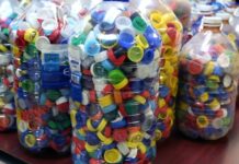 En Río Grande se podrán canjear tapitas y CD´s por plantines