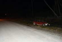 Un hombre atropelló a cinco chicos en Tolhuin