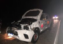 Chocó contra una vaca en la ruta 3