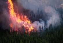 Un refugio tras el fuego: solidaridad en acción para reconstruir hogares en la Comarca Andina