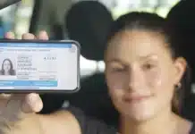 Ley de Tránsito: los cambios en la licencia de conducir, VTV y peajes