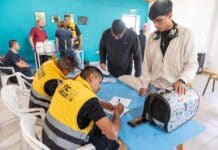 El sábado habrá una nueva jornada de vacunación y chipeo de mascotas