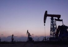 La petrolera estatal Terra Ignis y un escándalo de 2 millones de dólares