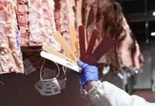 El sector rural fueguino en alerta ante las medidas de Milei: “No nos favorece en nada”