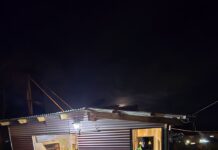 Tiene salidas transitorias y está involucrado en amenazas y daños