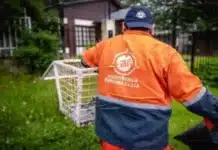 Ushuaia cambia el horario de recolección nocturna de residuos