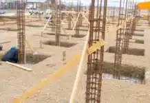 “No se mueve nada, los compañeros están cortando el pasto”