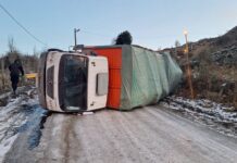 Volcó un camión a la altura de Newsan