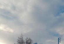 Despistó un camión de Agrotécnica fueguina