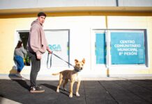 11 perros fueron adoptados en la ultima jornada de castración masiva