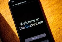 Qué aplicaciones son las que más utilizan los fueguinos