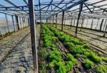 Establecen nuevos requisitos para que los productos locales obtenga el sello de calidad certificada