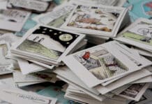 Se viene el Día del Niño: Cuáles son los juguetes más vendidos