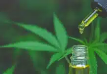 El domingo hay una charla sobre cannabis medicinal en Río Grande